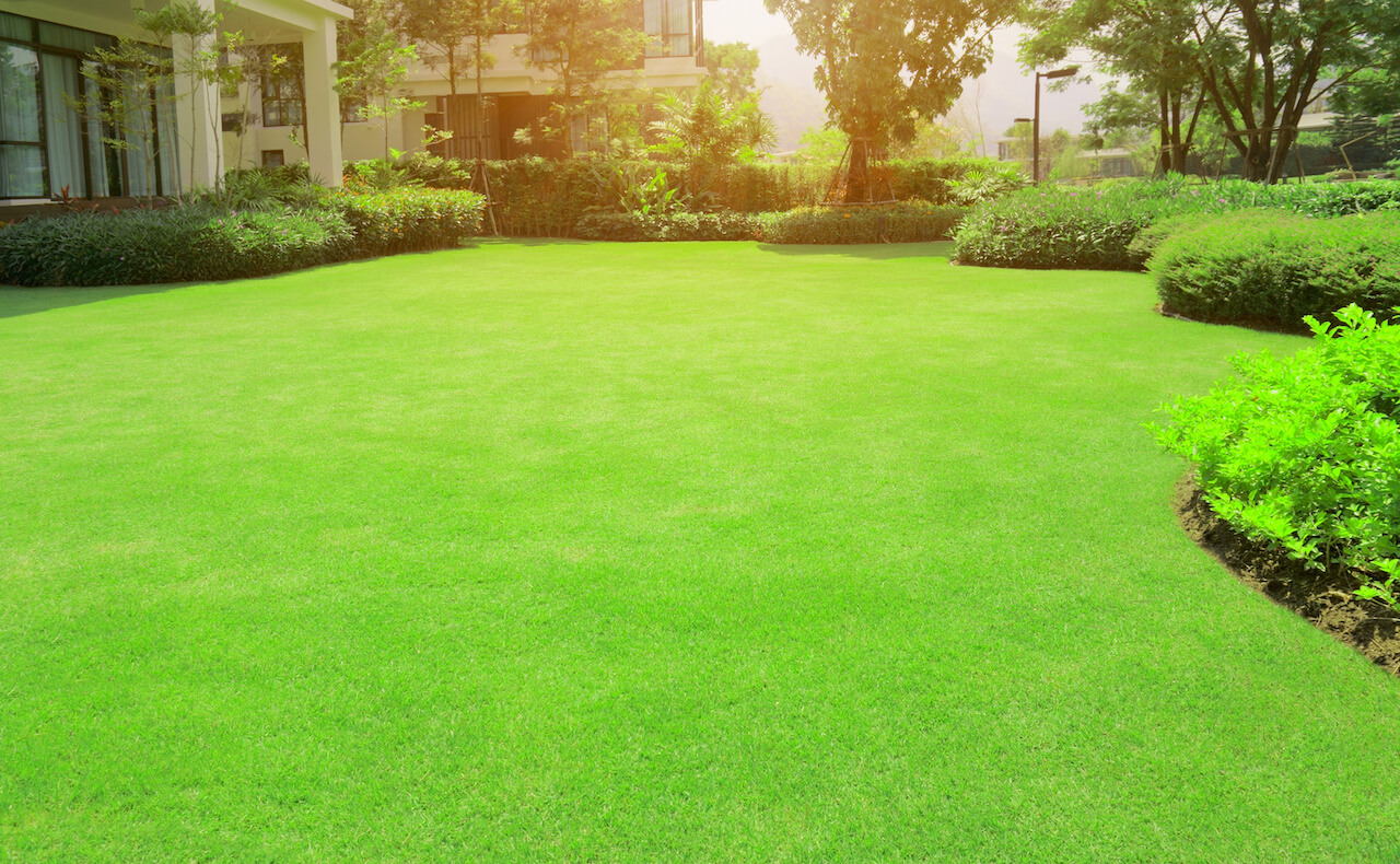 Landscaping project in Polk County