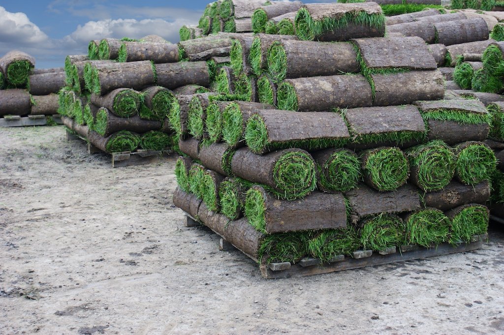 Professional landscaping project with fresh sod and mulched beds