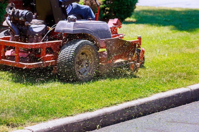 Freshly mowed and edged residential lawn