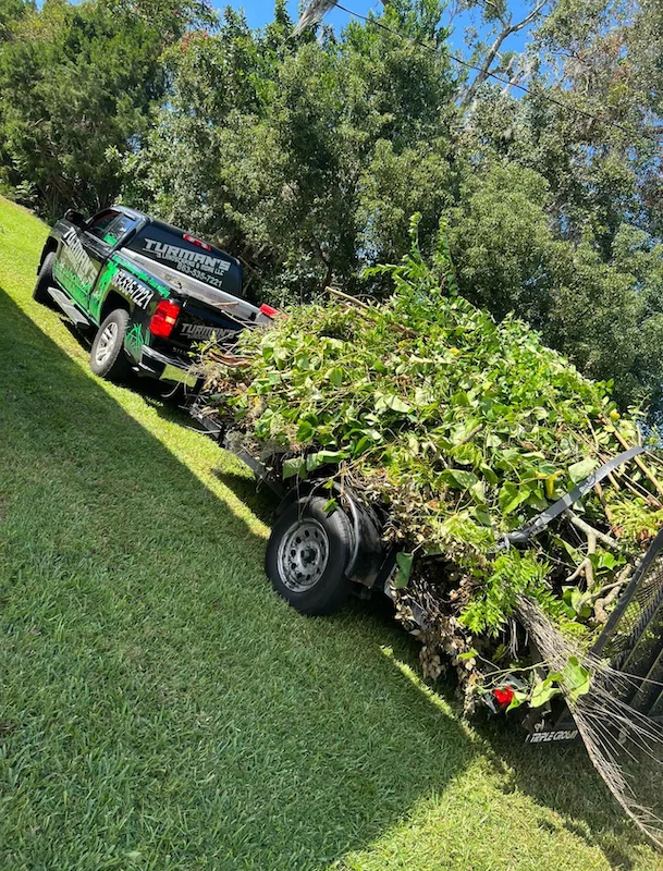 Full Brush & Debris Haul