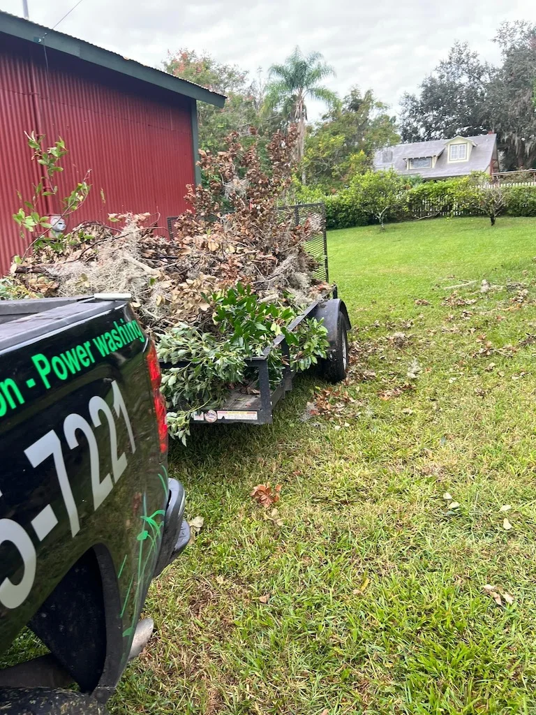Storm Yard Cleanup